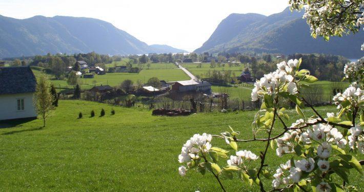 Hoiland Gard Gardshotellet Hjelmeland Ngoại thất bức ảnh